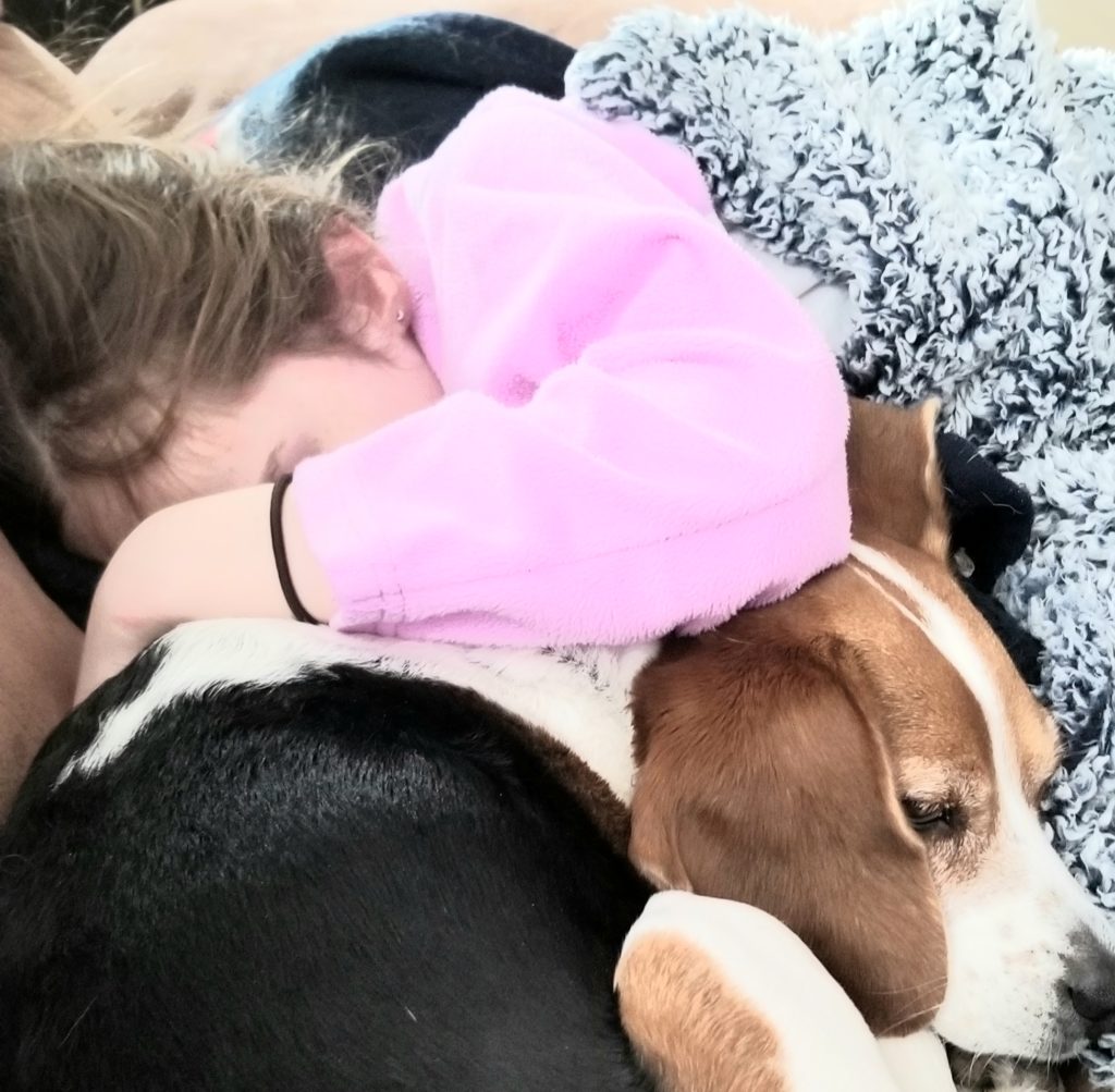 Sad Jocelyn with her head down, cuddling with the beagle dog under a blanket.