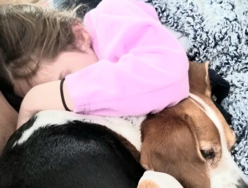 Girl crying into dog