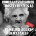 Confused Woman Taxes Gambling Losses