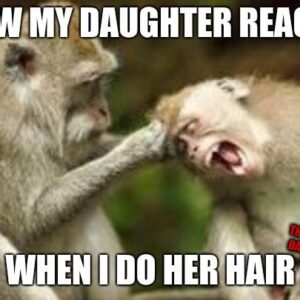 Monkeys Pulling Hair