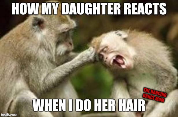 Monkeys Pulling Hair